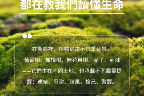 【讀經生活學：聖經裡的一草一木，都在教我們讀懂生命】